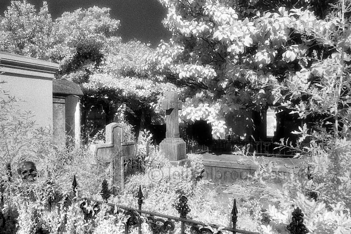 Lafayette Cemetery, New Orleans, LA