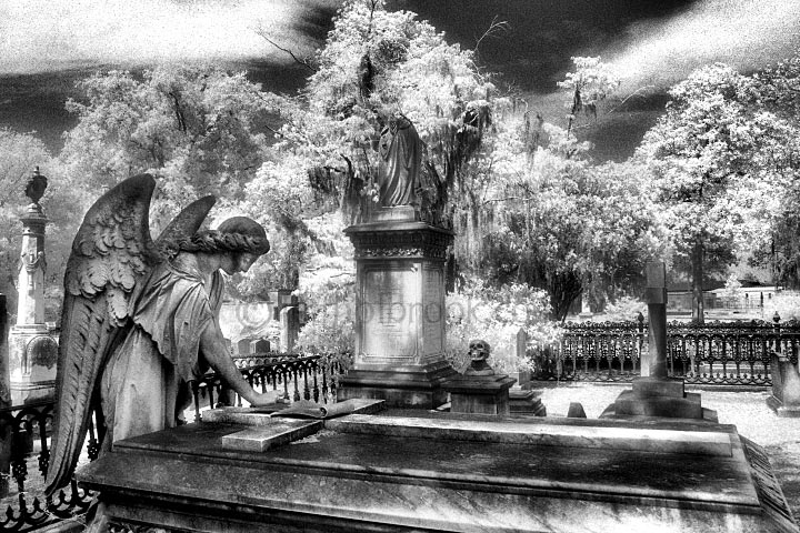Laurel Grove Cemetery, Savannah, GA