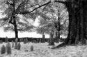 Graveyard, Spring Hill, TN