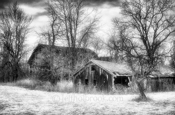 Dilapidated Barns, Mundy Township, MI